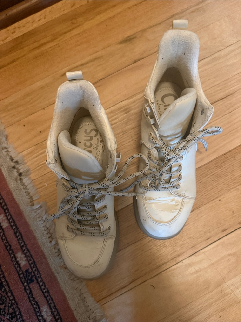 Sam Edelman circus Women's Cream High-Top Sneakers